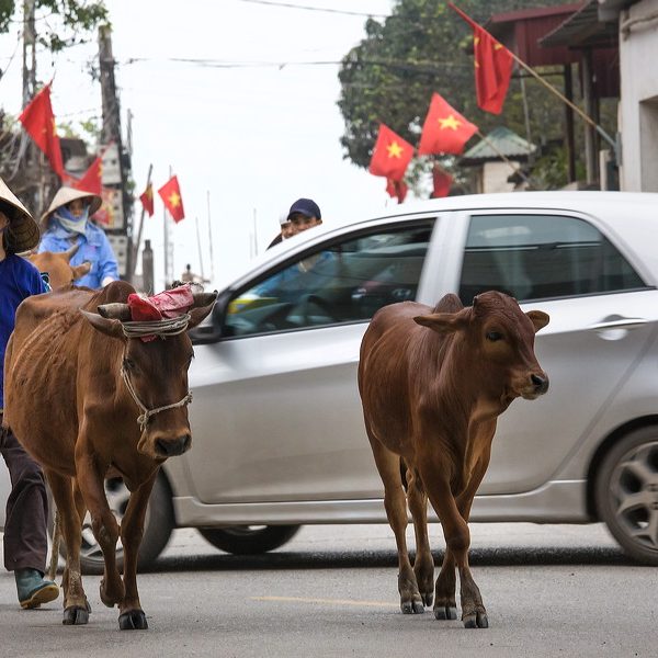 Thai Phu village near Noi Bai International Airport Hanoi, Vietnam