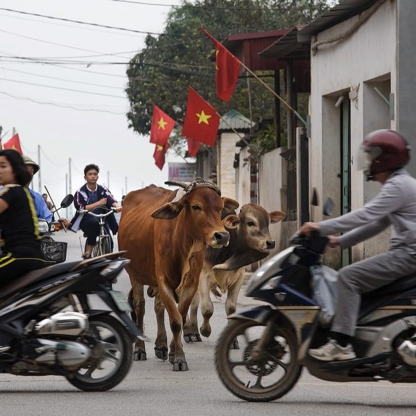 Thai Phu village near Noi Bai International Airport Hanoi, Vietnam